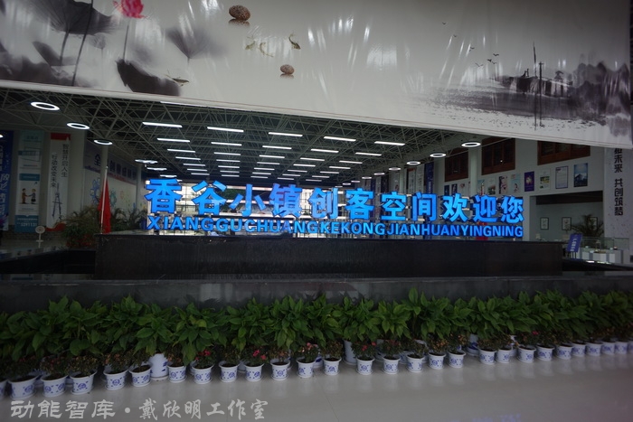 戴欣明策划人、李艺冲导演一行调研抚州市金溪县“一座没有围墙的古村落博物馆” 戴欣明策划人、李艺冲导演一行调研抚州市金溪县“一座没有围墙的古村落博物馆”
