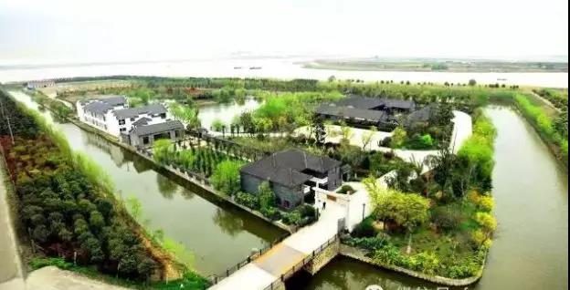 城市菜塔：AT模式革新城市农业新生态