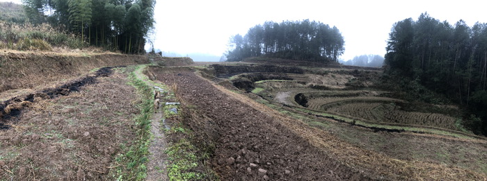 南川区东街改造 动能智库案例 戴欣明 南川道 重庆隆化古城 重庆城市更新 四季康养定位策划 商业地产 商业地产定位策划 商业地产运营 特色小镇战略定位 产业园定位策划 人文商业地产策划 文旅小镇策划定位 乡村旅游策划定位 商业街策划定位 城市综合体策划 古镇古城策划定位 文旅项目规划策划