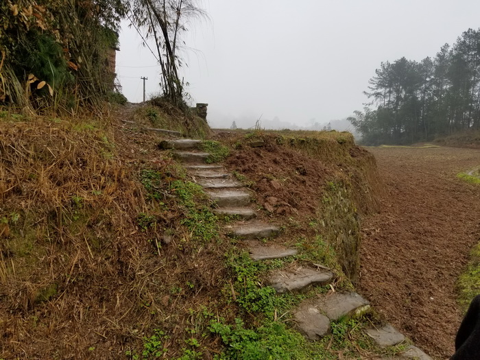 南川区东街改造 动能智库案例 戴欣明 南川道 重庆隆化古城 重庆城市更新 四季康养定位策划 商业地产 商业地产定位策划 商业地产运营 特色小镇战略定位 产业园定位策划 人文商业地产策划 文旅小镇策划定位 乡村旅游策划定位 商业街策划定位 城市综合体策划 古镇古城策划定位 文旅项目规划策划