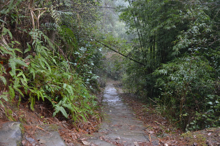 南川区东街改造 动能智库案例 戴欣明 南川道 重庆隆化古城 重庆城市更新 四季康养定位策划 商业地产 商业地产定位策划 商业地产运营 特色小镇战略定位 产业园定位策划 人文商业地产策划 文旅小镇策划定位 乡村旅游策划定位 商业街策划定位 城市综合体策划 古镇古城策划定位 文旅项目规划策划