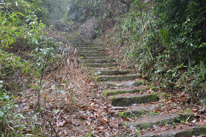 南川区东街改造 动能智库案例 戴欣明 南川道 重庆隆化古城 重庆城市更新 四季康养定位策划 商业地产 商业地产定位策划 商业地产运营 特色小镇战略定位 产业园定位策划 人文商业地产策划 文旅小镇策划定位 乡村旅游策划定位 商业街策划定位 城市综合体策划 古镇古城策划定位 文旅项目规划策划