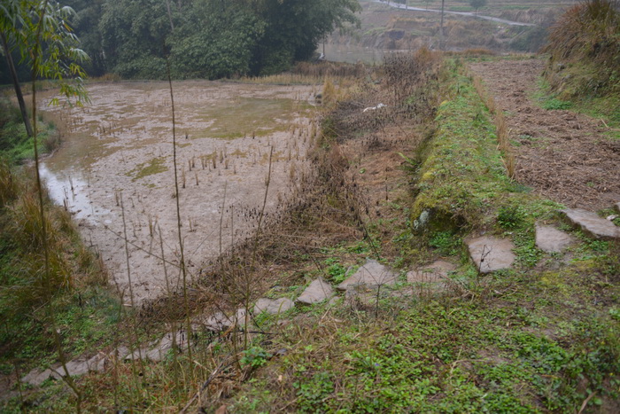 南川区东街改造 动能智库案例 戴欣明 南川道 重庆隆化古城 重庆城市更新 四季康养定位策划 商业地产 商业地产定位策划 商业地产运营 特色小镇战略定位 产业园定位策划 人文商业地产策划 文旅小镇策划定位 乡村旅游策划定位 商业街策划定位 城市综合体策划 古镇古城策划定位 文旅项目规划策划