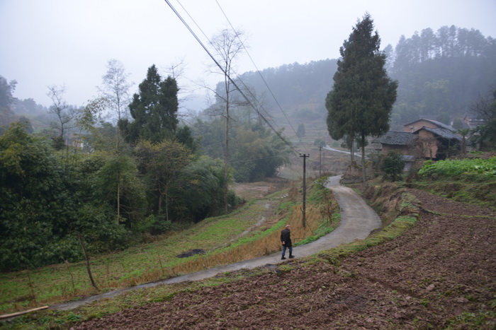 南川区东街改造 动能智库案例 戴欣明 南川道 重庆隆化古城 重庆城市更新 四季康养定位策划 商业地产 商业地产定位策划 商业地产运营 特色小镇战略定位 产业园定位策划 人文商业地产策划 文旅小镇策划定位 乡村旅游策划定位 商业街策划定位 城市综合体策划 古镇古城策划定位 文旅项目规划策划