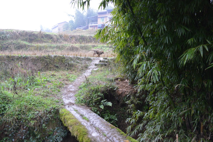 南川区东街改造 动能智库案例 戴欣明 南川道 重庆隆化古城 重庆城市更新 四季康养定位策划 商业地产 商业地产定位策划 商业地产运营 特色小镇战略定位 产业园定位策划 人文商业地产策划 文旅小镇策划定位 乡村旅游策划定位 商业街策划定位 城市综合体策划 古镇古城策划定位 文旅项目规划策划