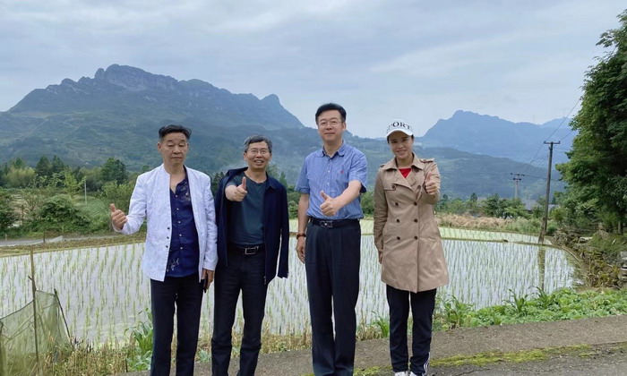 动能智库：重庆南川区永隆山，通过战略定位构建中国四季康养+城市文旅标杆-构建南川独一无二的独特味道，为南川城市产业升级、城市开发、城市中央空间四季康养体系打造寻找创意