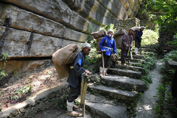 重庆南川区永隆山开发定位策划 中国四季康养 南川城市产业升级 动能智库考察  南川味道 南川油茶 重庆南川城市定位规划升级 重庆南川沿塘水库定位策划  红色文旅小镇选址 四季康养产业布局  动能智库 戴欣明工作室 蔡恒儿工作室 动能智库孙述新 动能智库邓肯 动能智库王方 动能智库戴玥 助力乡村振兴 红色文旅小镇产业升级及战略布局红色文旅小镇选址 四季康养产业布局  四季康养定位策划 商业地产 商业地产定 商业地产定位策划 商业地产运营 特色小镇战略定位 产业园定位策划 人文商业地产策划 文旅小镇策划定位 