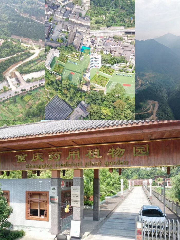 重庆市药物种植研究所　重庆南川区永隆山开发定位策划 中国四季康养 南川城市产业升级 动能智库考察  南川味道 南川油茶 重庆南川城市定位规划升级 重庆南川沿塘水库定位策划  红色文旅小镇选址 四季康养产业布局 　人文四季康养 四季康养定位策划 商业地产 商业地产定位策划 商业地产运营 动能智库 戴欣明工作室 蔡恒儿工作室 董事局执行主席罗利春 特色小镇战略定位 产业园定位策划 人文商业地产策划 文旅小镇策划定位 乡村旅游策划定位 商业街策划定位 城市综合体策划 红色文旅小镇系统 四季康养小镇系统 动能智库