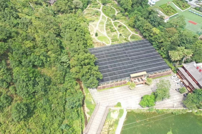 重庆市药物种植研究所　重庆南川区永隆山开发定位策划 中国四季康养 南川城市产业升级 动能智库考察  南川味道 南川油茶 重庆南川城市定位规划升级 重庆南川沿塘水库定位策划  红色文旅小镇选址 四季康养产业布局 　人文四季康养 四季康养定位策划 商业地产 商业地产定位策划 商业地产运营 动能智库 戴欣明工作室 蔡恒儿工作室 董事局执行主席罗利春 特色小镇战略定位 产业园定位策划 人文商业地产策划 文旅小镇策划定位 乡村旅游策划定位 商业街策划定位 城市综合体策划 红色文旅小镇系统 四季康养小镇系统 动能智库