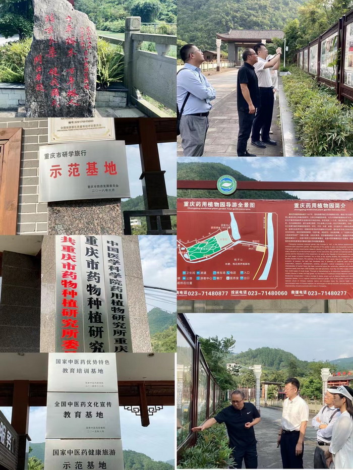 重庆市药物种植研究所　重庆南川区永隆山开发定位策划 中国四季康养 南川城市产业升级 动能智库考察  南川味道 南川油茶 重庆南川城市定位规划升级 重庆南川沿塘水库定位策划  红色文旅小镇选址 四季康养产业布局 　人文四季康养 四季康养定位策划 商业地产 商业地产定位策划 商业地产运营 动能智库 戴欣明工作室 蔡恒儿工作室 董事局执行主席罗利春 特色小镇战略定位 产业园定位策划 人文商业地产策划 文旅小镇策划定位 乡村旅游策划定位 商业街策划定位 城市综合体策划 红色文旅小镇系统 四季康养小镇系统 动能智库