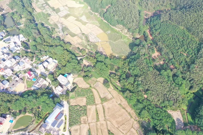 四季康养文旅小镇罗浮山东麓纪行 动能智库院长戴欣明 动能智库·前海四季康养管理（深圳）有限公司董事副总经理李蓬青 动能智库校董副院长蔡恒儿 人文四季康养 四季康养定位策划 商业地产 商业地产定位策划 从“单产业电商” 商业地产运营 动能智库 戴欣明工作室 蔡恒儿工作室 董事局执行主席罗利春 特色小镇战略定位 产业园定位策划 人文商业地产策划 文旅小镇策划定位 乡村旅游策划定位 商业街策划定位 城市综合体策划 红色文旅小镇系统 四季康养小镇系统 动能智库 戴欣明工作室 蔡恒儿工作室 前海四季康养管理 古镇古