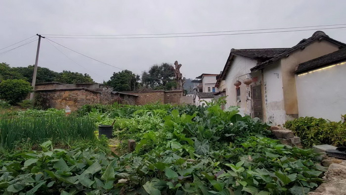 大埔是动能智库红色文旅小镇目的地之一 动能智库团队考察大埔 百候古镇 客家文化 中国大健康产业 “四季康养产业”模式构建惠州城市更新 动能智库 戴欣明 五邦集团  华明有 贵山行旅 上河行旅 欢乐上河 海水康养 酒肆街 四季康养特色文旅小镇 单产业电商模式打造罗浮山茶产业 四季康养特色文旅小镇 惠州筹建处揭牌仪 大湾区惠州的大健康产业升级  戴欣明工作室 蔡恒儿工作室  产业园定位策划  乡村旅游策划定位