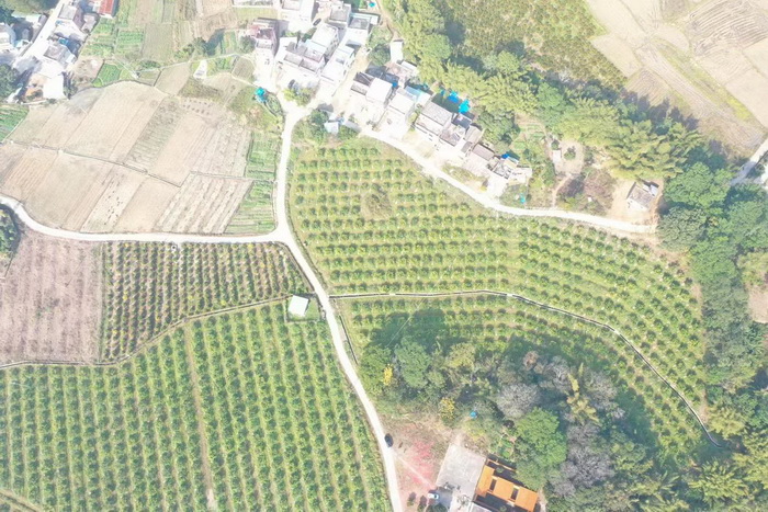 惠州柏塘车田 赤水洞 中国大健康产业 “四季康养产业”模式构建惠州城市更新 动能智库 戴欣明 五邦集团  华明有 贵山行旅 上河行旅 欢乐上河 海水康养 酒肆街 四季康养特色文旅小镇 单产业电商模式打造罗浮山茶产业 四季康养特色文旅小镇 惠州筹建处揭牌仪 大湾区惠州的大健康产业升级  戴欣明工作室 蔡恒儿工作室  产业园定位策划  乡村旅游策划定位
