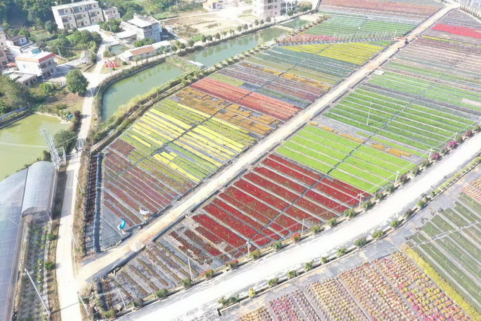 惠州柏塘车田 赤水洞 中国大健康产业 “四季康养产业”模式构建惠州城市更新 动能智库 戴欣明 五邦集团  华明有 贵山行旅 上河行旅 欢乐上河 海水康养 酒肆街 四季康养特色文旅小镇 单产业电商模式打造罗浮山茶产业 四季康养特色文旅小镇 惠州筹建处揭牌仪 大湾区惠州的大健康产业升级  戴欣明工作室 蔡恒儿工作室  产业园定位策划  乡村旅游策划定位