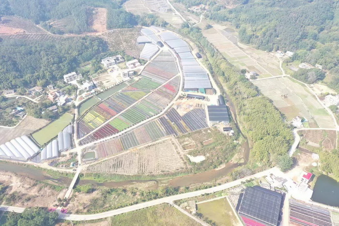 惠州柏塘车田 赤水洞 中国大健康产业 “四季康养产业”模式构建惠州城市更新 动能智库 戴欣明 五邦集团  华明有 贵山行旅 上河行旅 欢乐上河 海水康养 酒肆街 四季康养特色文旅小镇 单产业电商模式打造罗浮山茶产业 四季康养特色文旅小镇 惠州筹建处揭牌仪 大湾区惠州的大健康产业升级  戴欣明工作室 蔡恒儿工作室  产业园定位策划  乡村旅游策划定位