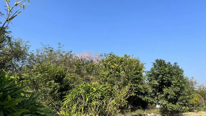 寻味惠州公庄味道 酒肆街 橙檬关照 乡村庄园定位策划 惠州柏塘镇 大健康 乡村振兴 多产业振兴 高质量发展 人才振兴 特色文旅小镇 城市更新  新媒体 产业电商 四季康养产业  红色文旅  非遗传承 共同富裕 动能智库 戴欣明 五邦集团  华明有 贵山行旅 上河行旅 欢乐上河 海水康养 酒肆街 四季康养特色文旅小镇 单产业电商模式打造罗浮山茶产业 四季康养特色文旅小镇 惠州筹建处揭牌仪 大湾区惠州的大健康产业升级  戴欣明工作室 蔡恒儿工作室  产业园定位策划  乡村旅游策划定位