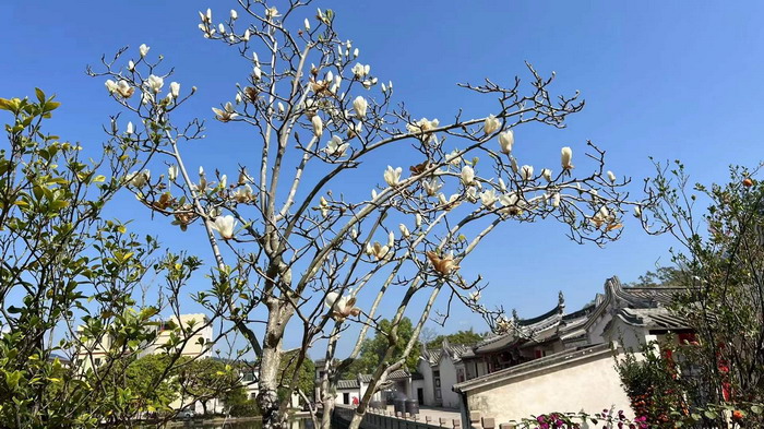 顺县留隍镇 恒儿茶 恒儿的茶 酒肆街 酒肆街小酒馆 酒肆街啤酒 酒世界扎啤 酒肆街精酿 四季酒肆 大健康 乡村振兴 多产业振兴 高质量发展 人才振兴 特色文旅小镇 城市更新  新媒体 产业电商 四季康养产业  红色文旅  非遗传承 共同富裕 动能智库 戴欣明 五邦集团  华明有 贵山行旅 上河行旅 欢乐上河 海水康养 酒肆街 四季康养特色文旅小镇 单产业电商模式打造罗浮山茶产业 四季康养特色文旅小镇 惠州筹建处揭牌仪 大湾区惠州的大健康产业升级  戴欣明工作室 蔡恒儿工作室  产业园定位策划  乡村旅游策划定位
