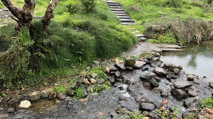 柏塘山茶酒肆合 茶产业电商模式再造 鹿湖温泉似圣水 顺县留隍镇 恒儿茶 恒儿的茶 酒肆街 酒肆街小酒馆 酒肆街啤酒 酒世界扎啤 酒肆街精酿 四季酒肆 大健康 乡村振兴 多产业振兴 高质量发展 人才振兴 特色文旅小镇 城市更新  新媒体 产业电商 四季康养产业  红色文旅  非遗传承 共同富裕 动能智库 戴欣明 五邦集团  华明有 贵山行旅 上河行旅 欢乐上河 海水康养 酒肆街 四季康养特色文旅小镇 单产业电商模式打造罗浮山茶产业 四季康养特色文旅小镇 惠州筹建处揭牌仪 大湾区惠州的大健康产业升级  戴欣明工作室 蔡恒儿工