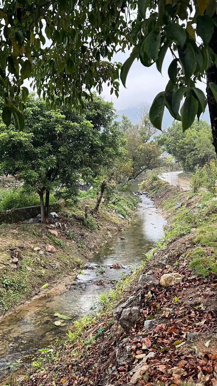 柏塘山茶酒肆合 茶产业电商模式再造 鹿湖温泉似圣水 顺县留隍镇 恒儿茶 恒儿的茶 酒肆街 酒肆街小酒馆 酒肆街啤酒 酒世界扎啤 酒肆街精酿 四季酒肆 大健康 乡村振兴 多产业振兴 高质量发展 人才振兴 特色文旅小镇 城市更新  新媒体 产业电商 四季康养产业  红色文旅  非遗传承 共同富裕 动能智库 戴欣明 五邦集团  华明有 贵山行旅 上河行旅 欢乐上河 海水康养 酒肆街 四季康养特色文旅小镇 单产业电商模式打造罗浮山茶产业 四季康养特色文旅小镇 惠州筹建处揭牌仪 大湾区惠州的大健康产业升级  戴欣明工作室 蔡恒儿工