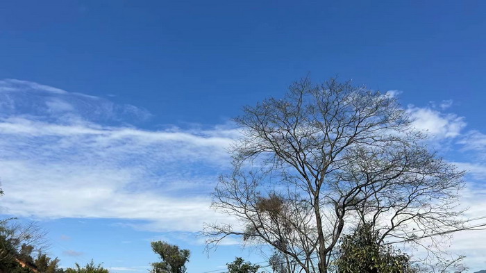 酒肆街品牌管理（深圳）有限公司 酒肆街小酒馆 潮客小镇 柏塘山茶酒肆合 茶产业电商模式再造 鹿湖温泉似圣水 顺县留隍镇 恒儿茶 恒儿的茶 酒肆街 酒肆街小酒馆 酒肆街啤酒 酒世界扎啤 酒肆街精酿 四季酒肆 大健康 乡村振兴 多产业振兴 高质量发展 人才振兴 特色文旅小镇 城市更新  新媒体 产业电商 四季康养产业  红色文旅  非遗传承 共同富裕 动能智库 戴欣明 五邦集团  华明有 贵山行旅 上河行旅 欢乐上河 海水康养 酒肆街 四季康养特色文旅小镇 单产业电商模式打造罗浮山茶产业 四季康养特色文旅小镇 惠州筹建处揭牌仪 大湾区惠州的大健康产业升级