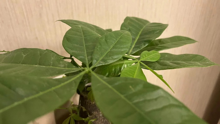 徐州驻深办 汴河书院 酒肆夜话 开封城市升级 开封商业产业定位策划 佛山欢乐上河 佛山酒肆街 动能智库校董温宗盛 数字新奥莱文谷总部 CTDU中旅联 全国跨界融合产业创新联合体 动能智库 奥特莱斯·新奥莱 大健康 共同富裕 数字奥莱　酒肆街品牌管理（深圳）有限公司 酒肆街小酒馆  中国特色文旅小镇商业街镇特许经营第一人戴欣明 中国特许经营第一人刘文献 四季康养文旅小镇惠州多个项目签约　黄华锦 国际品牌商业街　数字生活体验中心　数字康养体验中心　江边轻奢酒店　奢侈品创意学院　网红孵化基地　数字新奥莱网红