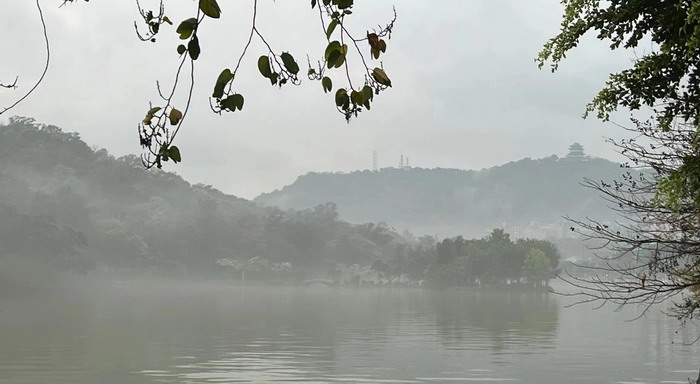 深圳的城中村 岭南山重创四季 酒肆浊酒鼓乐席 柏塘山茶酒肆合 茶产业电商模式再造 上河行旅 惠州柏塘拾里茶香品龙头壹号 鹿湖温泉似圣水 顺县留隍镇 恒儿茶 恒儿的茶 酒肆街 酒肆街小酒馆 酒肆街啤酒 酒世界扎啤 酒肆街精酿 四季酒肆 大健康 乡村振兴 多产业振兴 高质量发展 人才振兴 特色文旅小镇 城市更新  新媒体 产业电商 四季康养产业  红色文旅  非遗传承 共同富裕 动能智库 戴欣明 五邦集团  华明有 贵山行旅 上河行旅 欢乐上河 海水康养 酒肆街 四季康养特色文旅小镇 单产业电商模式打造罗浮山