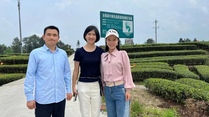 冷沙泉水乾丰茶 高山云雾 永隆山麓上河来 冷沙泉水 南川乾丰镇茶产业升级 前海四季康养管理（深圳）有限公司南川纪行 前海四季康养管理（深圳）有限公司总经理戴欣明兼首席战略策划 副总经理蔡恒儿一行在南川区城市投资集团对永隆山 《永隆上河》   四季康养南川缘  南川东街改造升级 南川区城市定位策划 动能智库，戴欣明工作室，深圳市前海动能投资有限公司战略定位策划的项目 《永隆上河》在重庆南川区金佛山麓永隆山上落地 永隆山上谱新曲 红色文旅小镇合作三合一模式 风过南川留药香 公务南川出南粤 四季康养文旅小镇落地惠州 《贵山行旅》、《上河