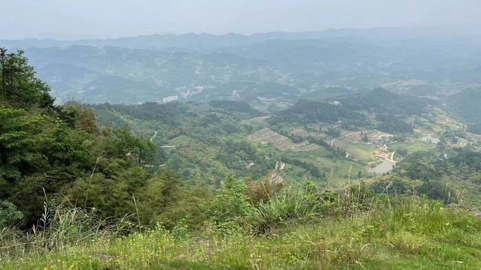 冷沙泉水乾丰茶 高山云雾 永隆山麓上河来 冷沙泉水 南川乾丰镇茶产业升级 前海四季康养管理（深圳）有限公司南川纪行 前海四季康养管理（深圳）有限公司总经理戴欣明兼首席战略策划 副总经理蔡恒儿一行在南川区城市投资集团对永隆山 《永隆上河》   四季康养南川缘  南川东街改造升级 南川区城市定位策划 动能智库，戴欣明工作室，深圳市前海动能投资有限公司战略定位策划的项目 《永隆上河》在重庆南川区金佛山麓永隆山上落地 永隆山上谱新曲 红色文旅小镇合作三合一模式 风过南川留药香 公务南川出南粤 四季康养文旅小镇落地惠州 《贵山行旅》、《上河