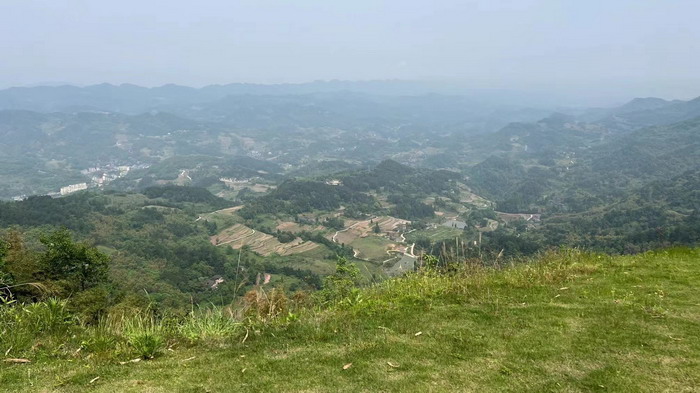 冷沙泉水乾丰茶 高山云雾 永隆山麓上河来 冷沙泉水 南川乾丰镇茶产业升级 前海四季康养管理（深圳）有限公司南川纪行 前海四季康养管理（深圳）有限公司总经理戴欣明兼首席战略策划 副总经理蔡恒儿一行在南川区城市投资集团对永隆山 《永隆上河》   四季康养南川缘  南川东街改造升级 南川区城市定位策划 动能智库，戴欣明工作室，深圳市前海动能投资有限公司战略定位策划的项目 《永隆上河》在重庆南川区金佛山麓永隆山上落地 永隆山上谱新曲 红色文旅小镇合作三合一模式 风过南川留药香 公务南川出南粤 四季康养文旅小镇落地惠州 《贵山行旅》、《上河