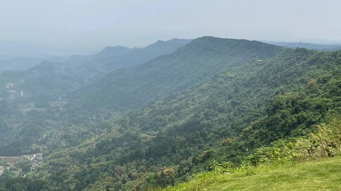 乾丰镇十二里天涯 汴河书院 乾丰山谷十二里 冷沙泉水乾丰茶 高山云雾 永隆山麓上河来 冷沙泉水 南川乾丰镇茶产业升级 前海四季康养管理（深圳）有限公司南川纪行 前海四季康养管理（深圳）有限公司总经理戴欣明兼首席战略策划 副总经理蔡恒儿一行在南川区城市投资集团对永隆山 《永隆上河》   四季康养南川缘  南川东街改造升级 南川区城市定位策划 动能智库，戴欣明工作室，深圳市前海动能投资有限公司战略定位策划的项目 《永隆上河》在重庆南川区金佛山麓永隆山上落地 永隆山上谱新曲 红色文旅小镇合作三合一模式 风过南川