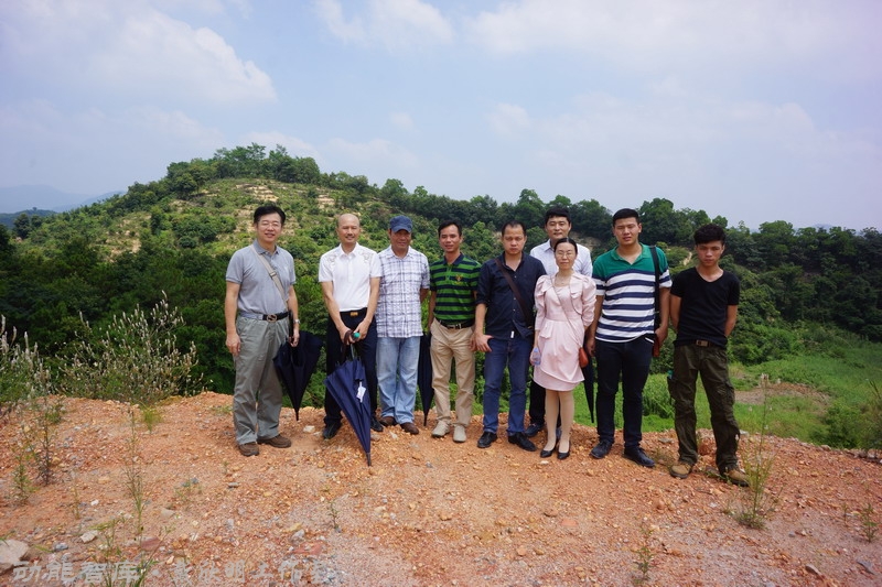 深圳国际低碳城——多丽·龙岗山胜低碳创意产业园－动能智库-戴欣明工作室热烈祝贺龙岗山胜低碳创意产业园纳入龙岗区创新产业园区