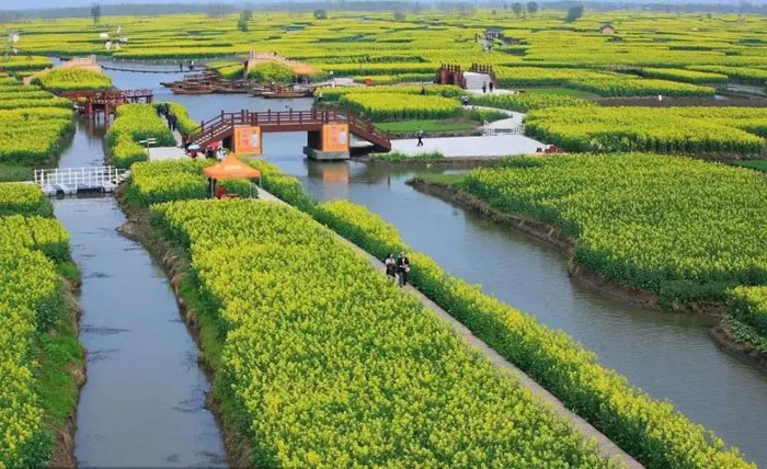 现代农业产业园能富民兴村,如何才能将它建好?