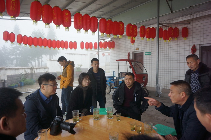 实施茶叶产业支撑工程，建成4个茶叶产业示范区，南川区乾丰镇做大做强茶产业，助推乡村振兴－动能智库－戴欣明工作室－前海动能投资公司案例解析
