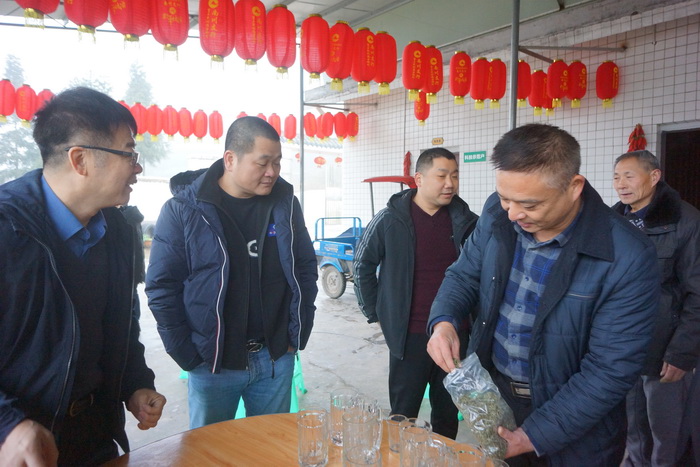 “金佛玉翠”绿茶案例：重庆南川实施茶叶产业支撑工程，建成4个茶叶产业示范区，南川区乾丰镇做大做强茶产业，助推乡村振兴－动能智库－戴欣明工作室－前海动能投资公司案例解析