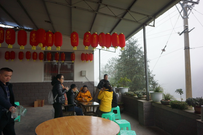 案例：重庆南川实施茶叶产业支撑工程，建成4个茶叶产业示范区，南川区乾丰镇做大做强茶产业，助推乡村振兴－动能智库－戴欣明工作室－前海动能投资公司案例解析