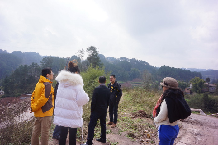 案例：重庆南川实施茶叶产业支撑工程，建成4个茶叶产业示范区，南川区乾丰镇做大做强茶产业，助推乡村振兴－动能智库－戴欣明工作室－前海动能投资公司案例解析