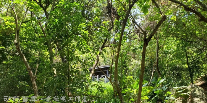 三五知己堂 七大山人商标 商业地产 商业地产定位策划 商业地产运营 特色小镇战略定位 产业园定位策划 人文商业地产策划 文旅小镇策划定位 乡村旅游策划定位 商业街策划定位 城市综合体策划 古镇古城策划定位 文旅项目规划策划