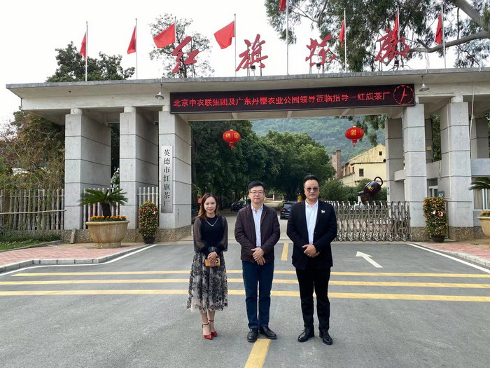 红旗茶厂 戴欣明 动能智库茶产业升级 四季康养定位策划 商业地产 商业地产定位策划 商业地产运营 特色小镇战略定位 产业园定位策划 人文商业地产策划 文旅小镇策划定位 乡村旅游策划定位 商业街策划定位 城市综合体策划 古镇古城策划定位 文旅项目规划策划