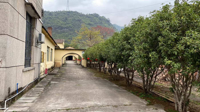 红旗茶厂 戴欣明 动能智库茶产业升级 四季康养定位策划 商业地产 商业地产定位策划 商业地产运营 特色小镇战略定位 产业园定位策划 人文商业地产策划 文旅小镇策划定位 乡村旅游策划定位 商业街策划定位 城市综合体策划 古镇古城策划定位 文旅项目规划策划