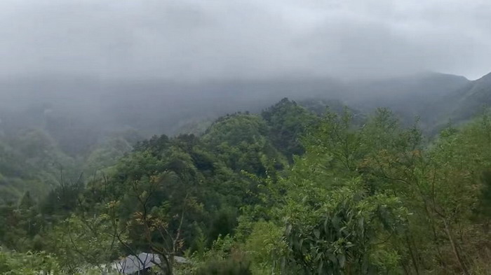 重庆城市规划升级 金佛山文旅大战略布局 大有镇，文旅产业升级 戴欣明 邓肯 王方 蔡恒儿 动能智库 蔡恒儿工作室 动能智库四季康养定位策划 商业地产 商业地产定位策划 商业地产运营 特色小镇战略定位 产业园定位策划 人文商业地产策划 文旅小镇策划定位 乡村旅游策划定位 商业街策划定位 城市综合体策划 古镇古城策划定位 文旅项目规划策划