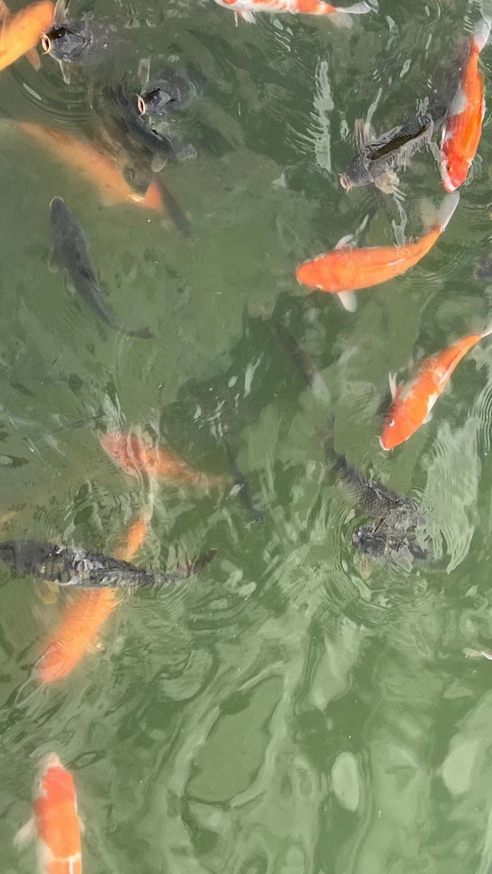 戴欣明父亲 戴联鹰 动能投资·酒肆街品牌管理 店小二跑酒肆街 林婆酒肆 对月东坡 惠州酒肆 啤酒斗趣 四季康养产业落地惠州  前海四季康养管理（深圳）有限公司 《贵山行旅》 《上河行旅》 《欢乐上河》 【酒肆街】 项目例行会议及产业投资洽谈  动能智库·酒肆街品牌管理（深圳）有限公司惠州纪行 惠州西湖人文情怀　深圳的城中村 岭南山重创四季 酒肆浊酒鼓乐席 柏塘山茶酒肆合 茶产业电商模式再造 上河行旅 惠州柏塘拾里茶香品龙头壹号 鹿湖温泉似圣水 顺县留隍镇 恒儿茶 恒儿的茶 酒肆街 酒肆街小酒馆 酒肆街啤酒