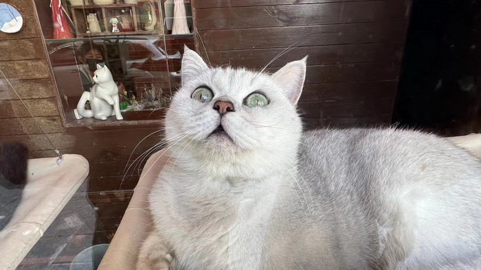 戴欣明父亲 戴联鹰 动能投资·酒肆街品牌管理 店小二跑酒肆街 林婆酒肆 对月东坡 惠州酒肆 啤酒斗趣 四季康养产业落地惠州  前海四季康养管理（深圳）有限公司 《贵山行旅》 《上河行旅》 《欢乐上河》 【酒肆街】 项目例行会议及产业投资洽谈  动能智库·酒肆街品牌管理（深圳）有限公司惠州纪行 惠州西湖人文情怀　深圳的城中村 岭南山重创四季 酒肆浊酒鼓乐席 柏塘山茶酒肆合 茶产业电商模式再造 上河行旅 惠州柏塘拾里茶香品龙头壹号 鹿湖温泉似圣水 顺县留隍镇 恒儿茶 恒儿的茶 酒肆街 酒肆街小酒馆 酒肆街啤酒