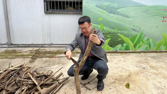 罗浮山茶柏塘山茶产业基地 博罗县茶叶行业协会  动能投资·酒肆街品牌管理 店小二跑酒肆街 林婆酒肆 对月东坡 惠州酒肆 啤酒斗趣 四季康养产业落地惠州  前海四季康养管理（深圳）有限公司 《贵山行旅》 《上河行旅》 《欢乐上河》 【酒肆街】 项目例行会议及产业投资洽谈  动能智库·酒肆街品牌管理（深圳）有限公司惠州纪行 惠州西湖人文情怀　深圳的城中村 岭南山重创四季 酒肆浊酒鼓乐席 柏塘山茶酒肆合 茶产业电商模式再造 上河行旅 惠州柏塘拾里茶香品龙头壹号 鹿湖温泉似圣水 顺县留隍镇 恒儿茶 恒儿的茶 酒肆
