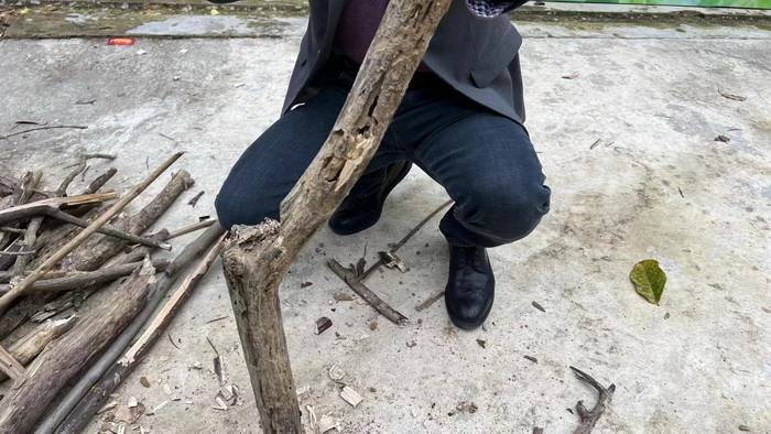 罗浮山茶柏塘山茶产业基地 博罗县茶叶行业协会  动能投资·酒肆街品牌管理 店小二跑酒肆街 林婆酒肆 对月东坡 惠州酒肆 啤酒斗趣 四季康养产业落地惠州  前海四季康养管理（深圳）有限公司 《贵山行旅》 《上河行旅》 《欢乐上河》 【酒肆街】 项目例行会议及产业投资洽谈  动能智库·酒肆街品牌管理（深圳）有限公司惠州纪行 惠州西湖人文情怀　深圳的城中村 岭南山重创四季 酒肆浊酒鼓乐席 柏塘山茶酒肆合 茶产业电商模式再造 上河行旅 惠州柏塘拾里茶香品龙头壹号 鹿湖温泉似圣水 顺县留隍镇 恒儿茶 恒儿的茶 酒肆