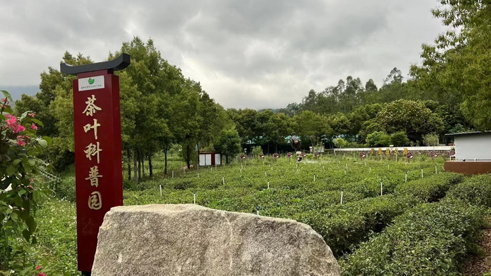 罗浮山茶柏塘山茶产业基地 博罗县茶叶行业协会  动能投资·酒肆街品牌管理 店小二跑酒肆街 林婆酒肆 对月东坡 惠州酒肆 啤酒斗趣 四季康养产业落地惠州  前海四季康养管理（深圳）有限公司 《贵山行旅》 《上河行旅》 《欢乐上河》 【酒肆街】 项目例行会议及产业投资洽谈  动能智库·酒肆街品牌管理（深圳）有限公司惠州纪行 惠州西湖人文情怀　深圳的城中村 岭南山重创四季 酒肆浊酒鼓乐席 柏塘山茶酒肆合 茶产业电商模式再造 上河行旅 惠州柏塘拾里茶香品龙头壹号 鹿湖温泉似圣水 顺县留隍镇 恒儿茶 恒儿的茶 酒肆