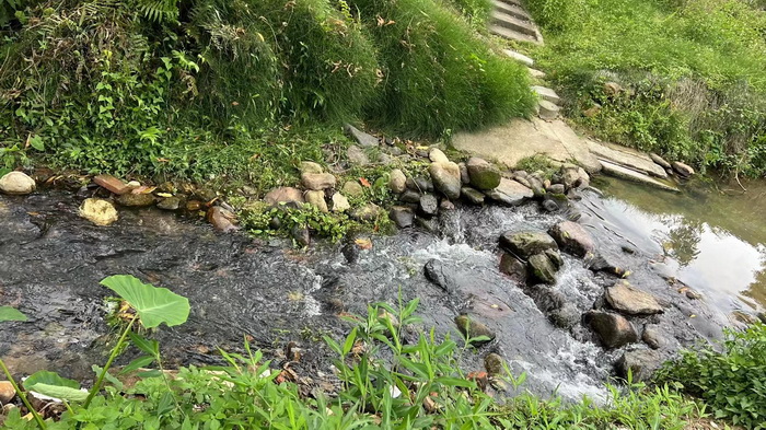 罗浮山茶柏塘山茶产业基地 博罗县茶叶行业协会  动能投资·酒肆街品牌管理 店小二跑酒肆街 林婆酒肆 对月东坡 惠州酒肆 啤酒斗趣 四季康养产业落地惠州  前海四季康养管理（深圳）有限公司 《贵山行旅》 《上河行旅》 《欢乐上河》 【酒肆街】 项目例行会议及产业投资洽谈  动能智库·酒肆街品牌管理（深圳）有限公司惠州纪行 惠州西湖人文情怀　深圳的城中村 岭南山重创四季 酒肆浊酒鼓乐席 柏塘山茶酒肆合 茶产业电商模式再造 上河行旅 惠州柏塘拾里茶香品龙头壹号 鹿湖温泉似圣水 顺县留隍镇 恒儿茶 恒儿的茶 酒肆