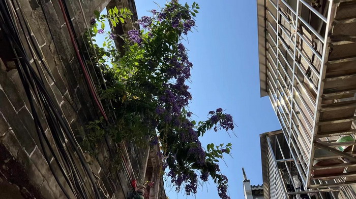 小酒馆模式 惠州水东街桥东 旅居康养小镇 大湾区落地酒肆街 酒肆街小酒馆项目系统概要 【酒肆街】品牌概况 酒吧街 商业街 人文商业 酒肆街消费模式 国潮产业 四季康养产业落地惠州  前海四季康养管理（深圳）有限公司 《贵山行旅》 《上河行旅》 《欢乐上河》 【酒肆街】 项目例行会议及产业投资洽谈  动能智库·酒肆街品牌管理（深圳）有限公司 戴欣明工作室 蔡恒儿工作室 动能智库 茶产业电商模式再造 上河行旅 恒儿茶 恒儿的茶 酒肆街 酒肆街小酒馆 酒肆街啤酒 酒世界扎啤 酒肆街精酿 四季酒肆 大健康 乡村振兴 多产业振兴 高质量发展
