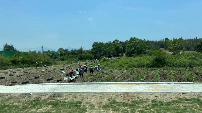 汕尾红海湾 地产圆桌派 全球酒吧源酒肆 酒肆街小酒馆 久康元酒 本草精酿 百师医谷 四季康养落地重庆南川区 茶肆街 冷沙泉水乾丰茶 高山云雾 永隆山麓上河来 冷沙泉水 南川乾丰镇茶产业升级 前海四季康养管理（深圳）有限公司南川纪行 前海四季康养管理（深圳）有限公司总经理戴欣明兼首席战略策划 副总经理蔡恒儿一行在南川区城市投资集团对永隆山 《永隆上河》   四季康养南川缘  南川东街改造升级 南川区城市定位策划 动能智库，戴欣明工作室，深圳市前海动能投资有限公司战略定位策划的项目 《永隆上河》在