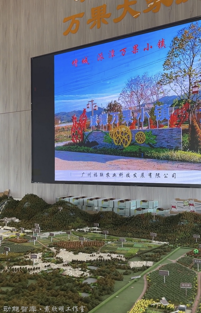 乡村振兴项目如何包装定位，用戴氏七产融合模式走出误区，中国著名战略定位策划家、七产融合模式的创立者戴欣明在增城派潭四季康养水果基地《定风波·包装乡村振兴七产路》